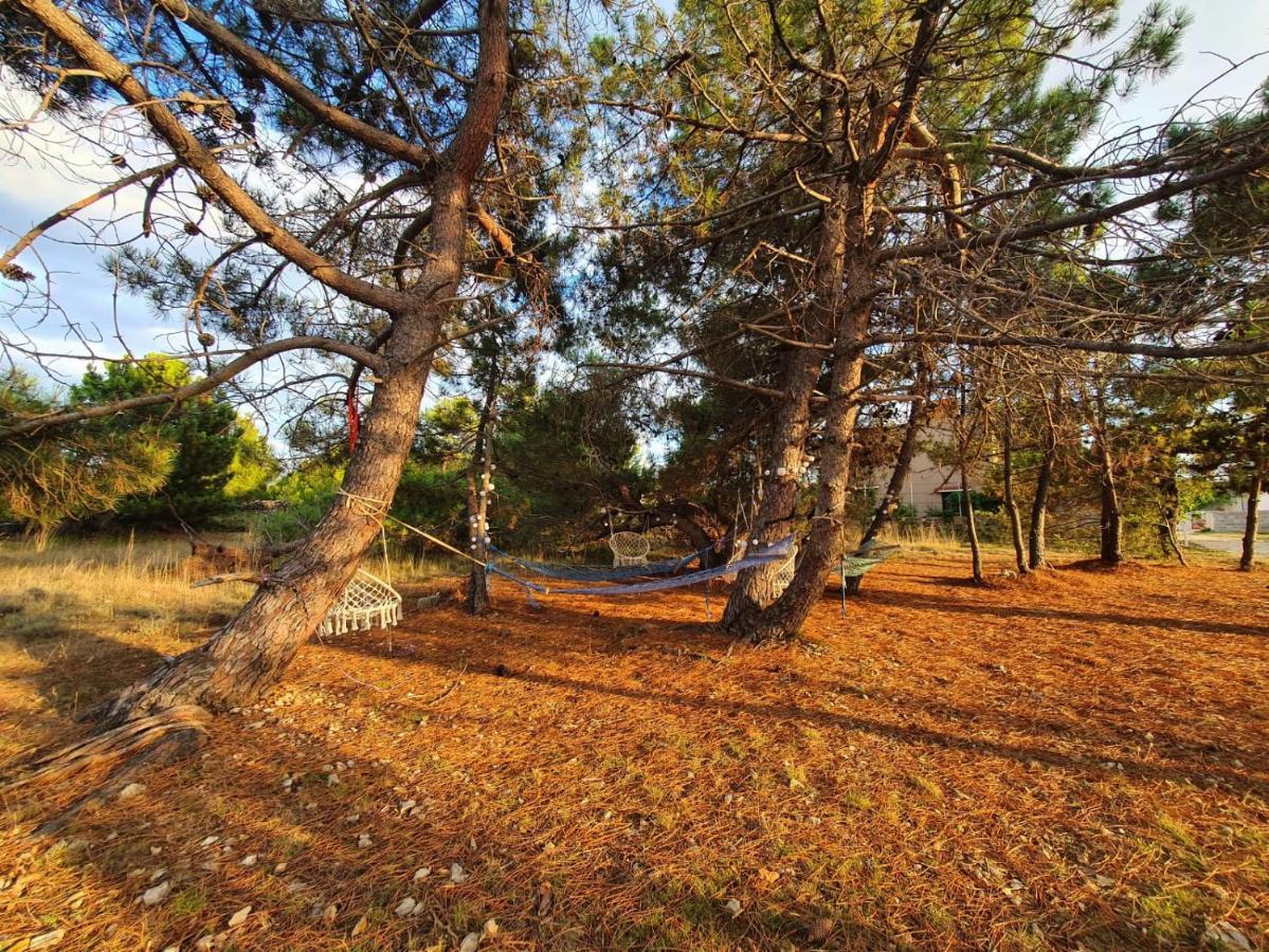 Apartmani Bellevue Vir Exterior photo